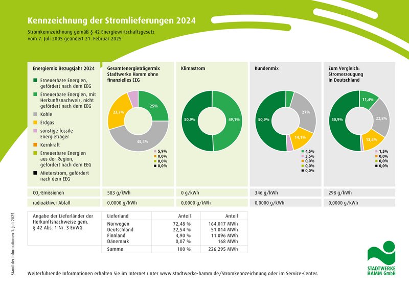 Grafik-Stromkennzeichnung der Stromlieferungen 2024