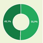 Grafik-Stromkennzeichnung der Stromlieferungen 2024